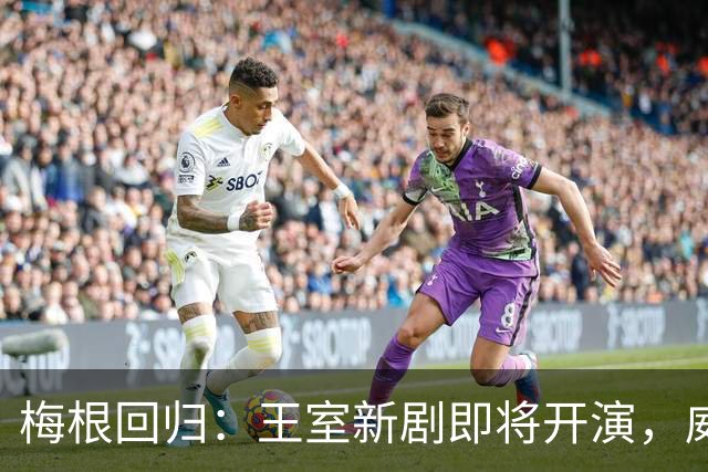 梅根回归：王室新剧即将开演，威廉和凯特准备好了吗？